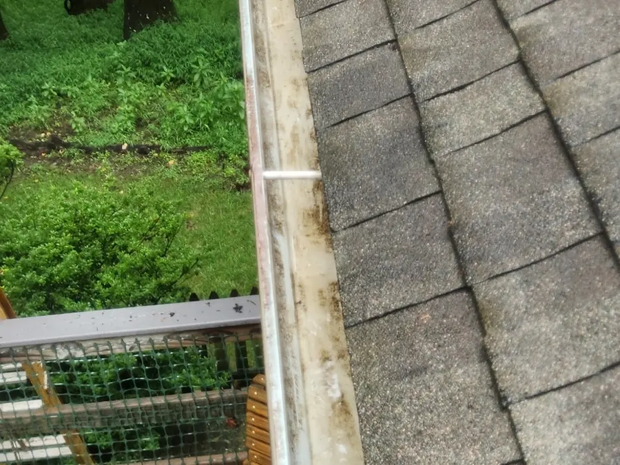 Gutter run below heavy tree canopy before cleaning in Hardy, VA