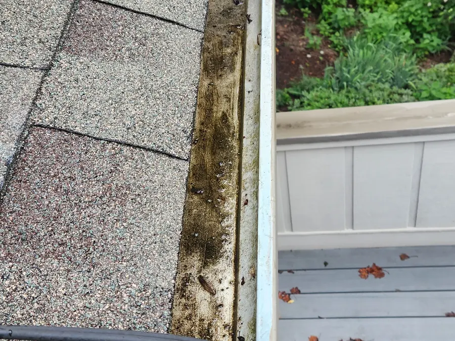 Gutter packed with rotted debris and grit before cleaning in Hardy, VA