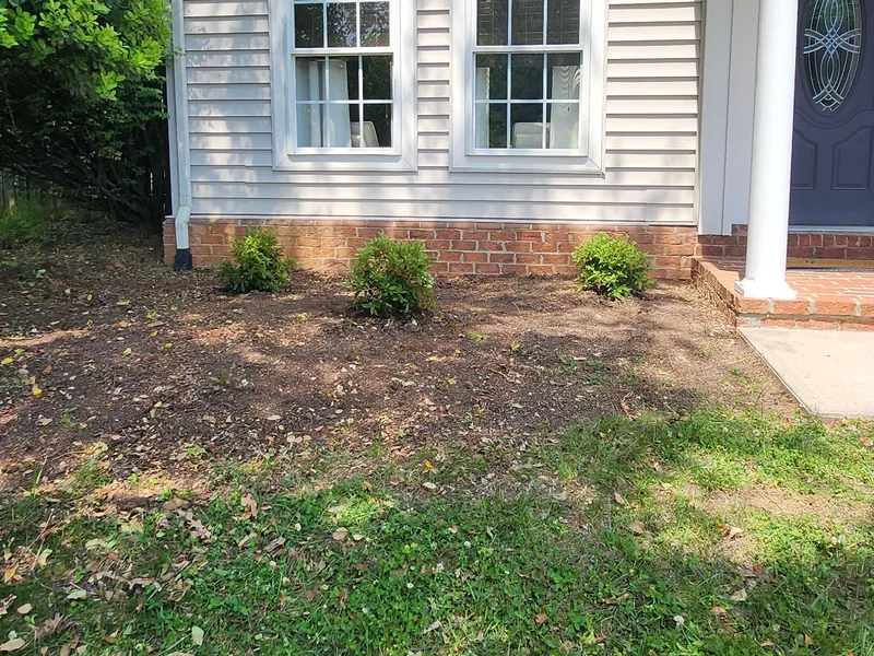 Newly planted dwarf azaleas along the foundation in Roanoke, VA