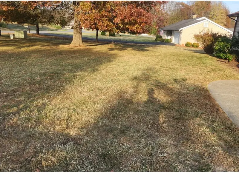 Same front lawn cleared of leaves in Boones Mill, VA
