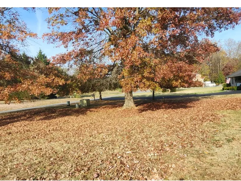 Front lawn under a heavy oak leaf drop in Boones Mill, VA