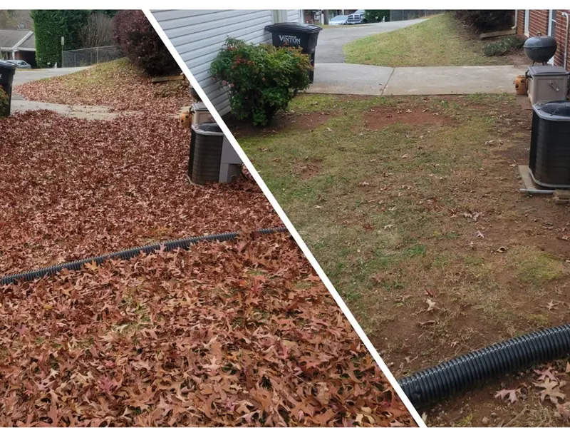 Side yard before and after leaf cleanup in Vinton, VA