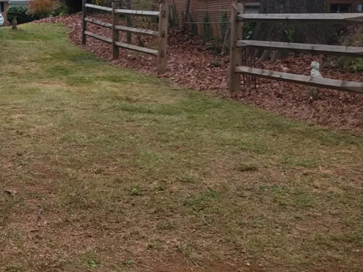 The same strip cleared to grass in Vinton, VA
