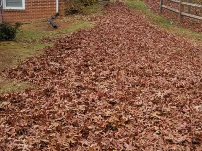 Strip between houses covered in leaves in Vinton, VA