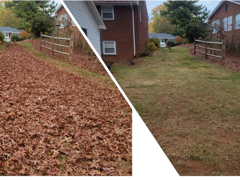 Strip between houses before and after leaf cleanup in Vinton, VA