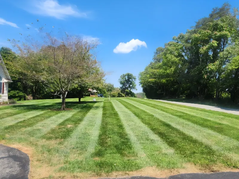 Freshly striped front lawn at a white farmhouse in Moneta, VA