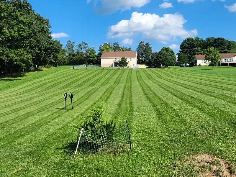 Large striped lawn running uphill to a two-story house