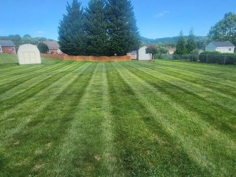Wide striped backyard with shed and evergreen