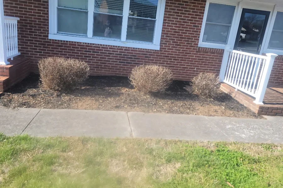 Thin bed with dormant shrubs and weeds before mulching in Vinton, VA