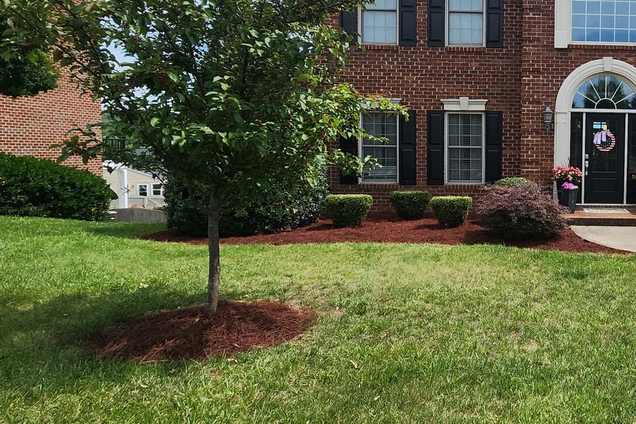 Dyed pine straw holding a deep red-brown color in the same beds in Vinton, VA