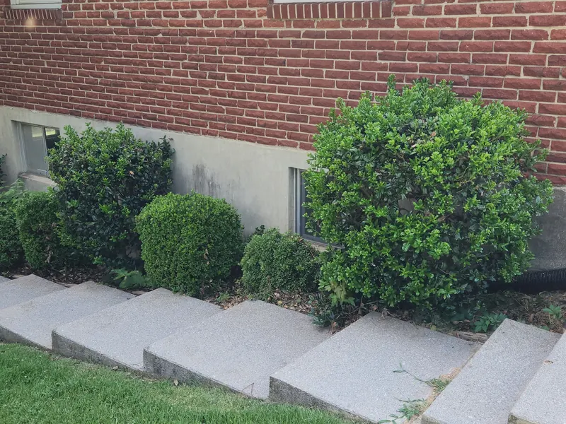 Foundation shrubs before removal in Moneta, VA