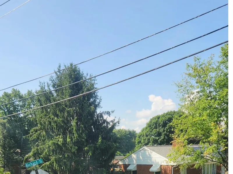 Mature evergreen crowding overhead service lines