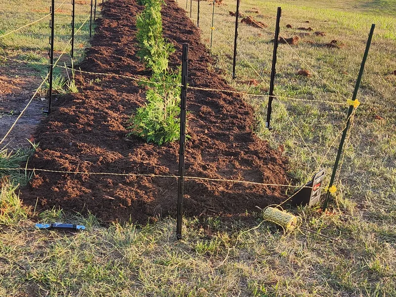 Tree planting finished in Moneta, VA