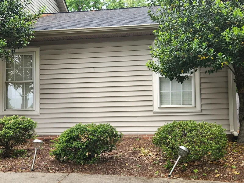 Holly trees grown hard against the siding before removal in Roanoke, VA
