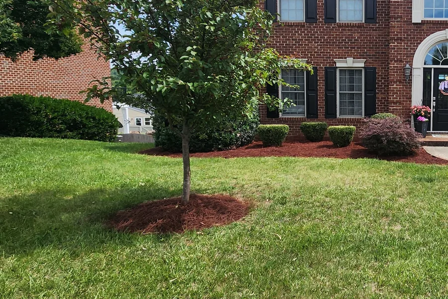Front of a Vinton home with trimmed shrubs and dyed pine straw beds