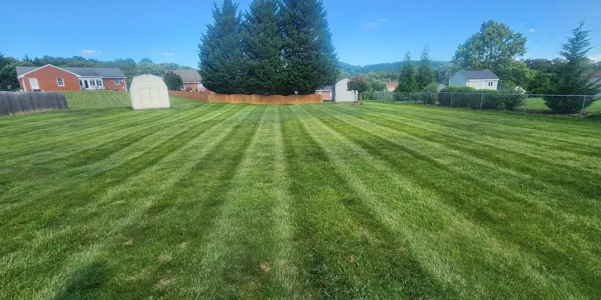 Striped lawn cut across a large open yard