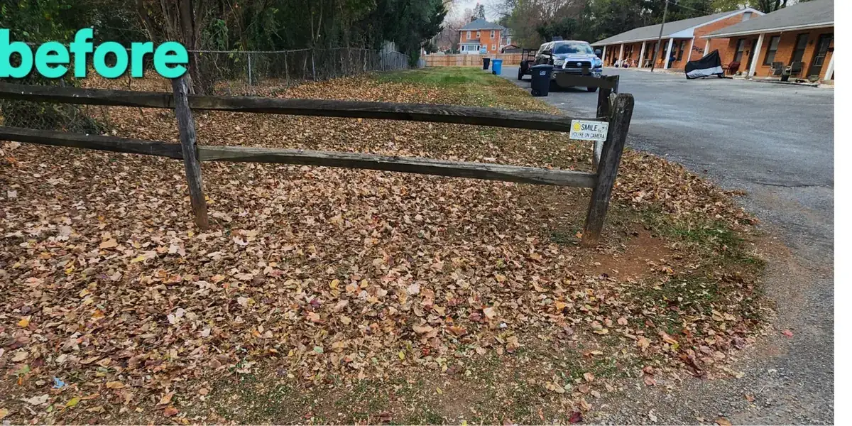 Lawn buried in fallen leaves before cleanup