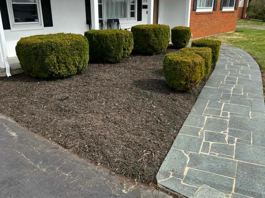 Freshly mulched bed with clean edges in March, Boones Mill, VA